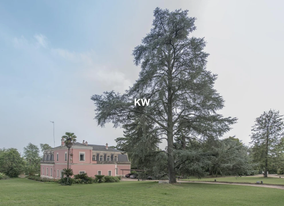 Quinta T8 para Venda em Assunção, Ajuda, Salvador e Santo Ildefonso Foto 11