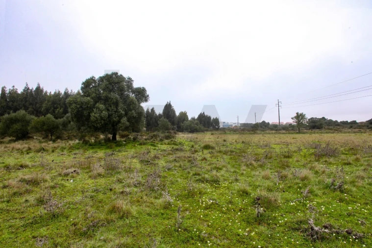 Terreno para Venda em São João das Lampas e Terrugem Foto 4