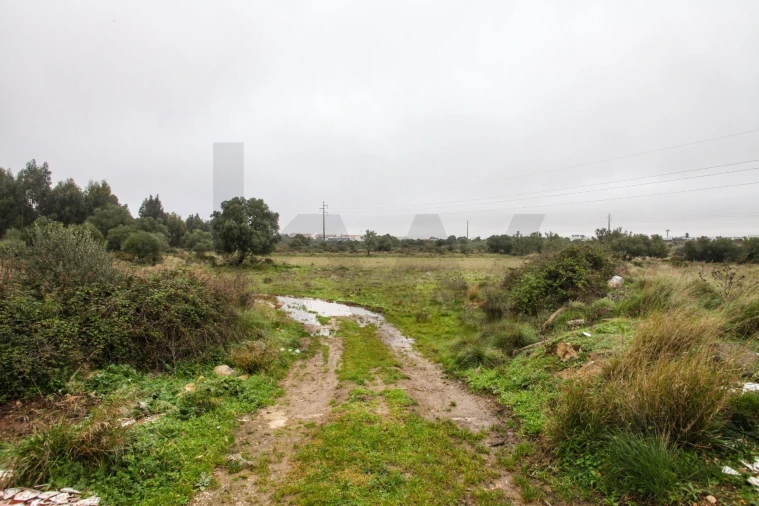 Terreno para Venda em São João das Lampas e Terrugem Foto 8