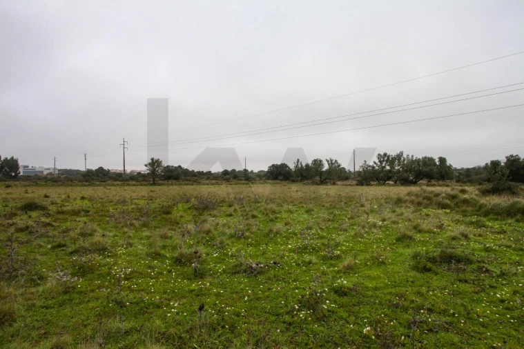 Terreno para Venda em São João das Lampas e Terrugem Foto 2
