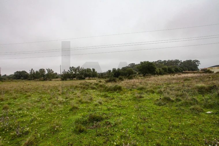 Terreno para Venda em São João das Lampas e Terrugem Foto 3