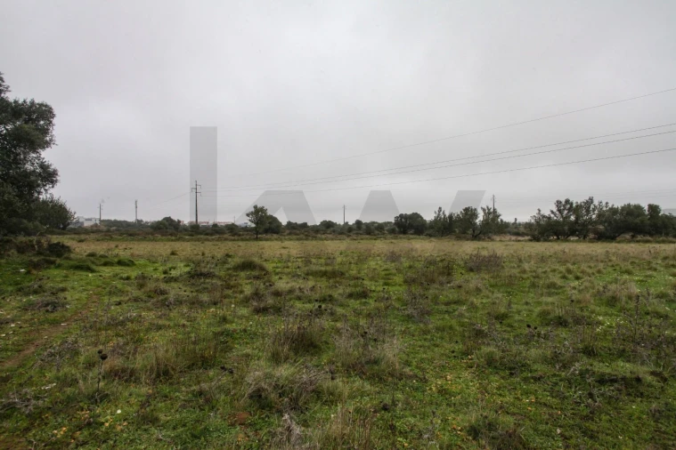 Terreno para Venda em São João das Lampas e Terrugem Foto 7