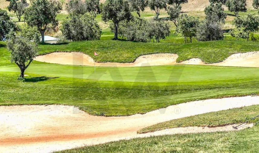 Terreno para Venda em Barcarena Foto 10