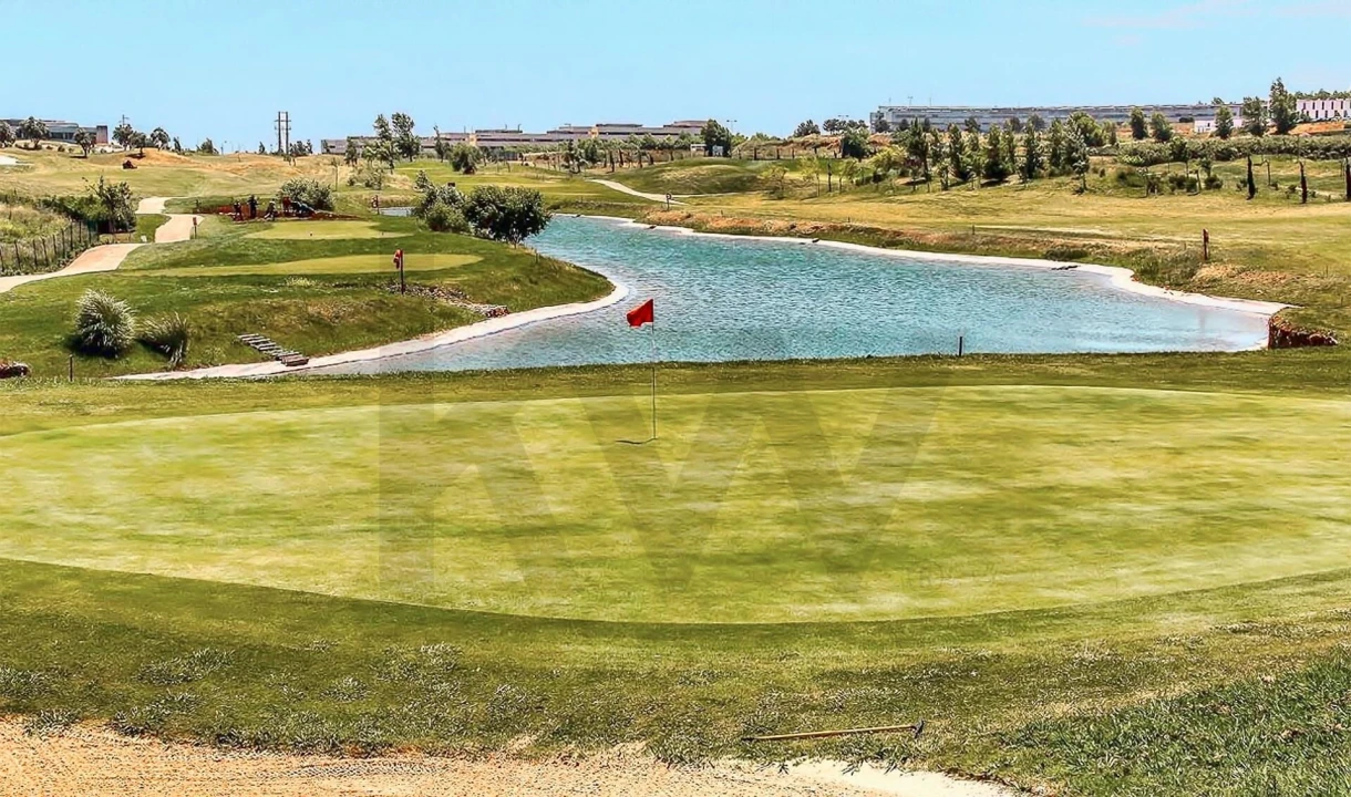 Terreno para Venda em Barcarena Foto 6