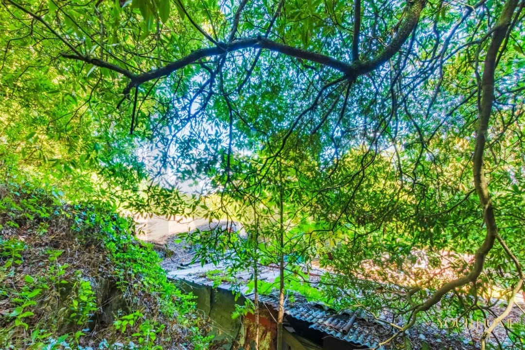 Terreno para Venda em São João das Lampas e Terrugem Foto 9
