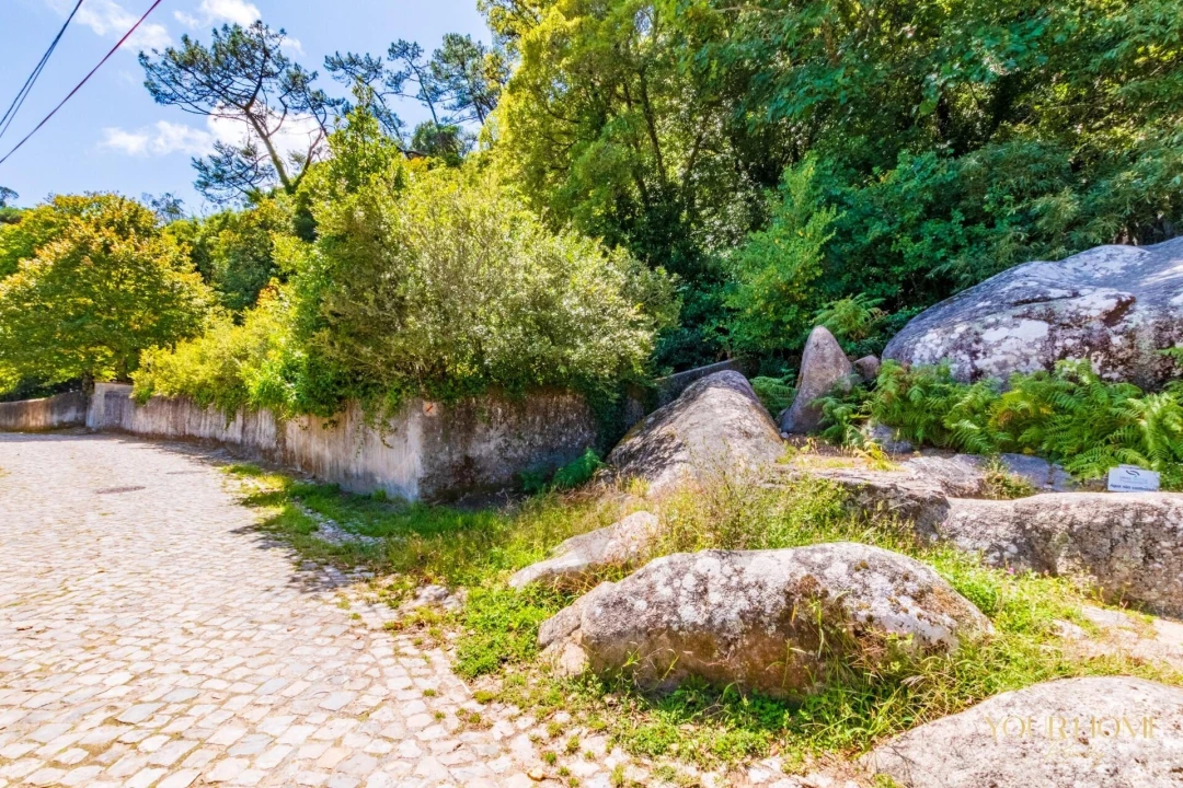 Terreno para Venda em São João das Lampas e Terrugem Foto 25