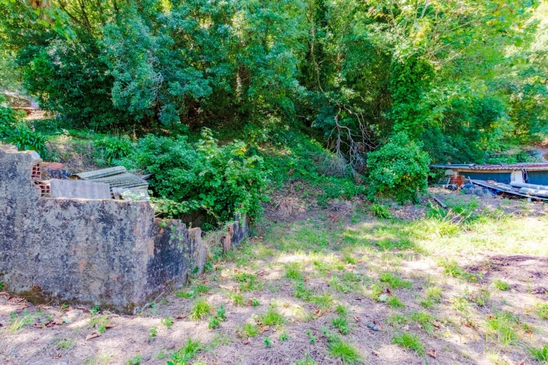 Terreno para Venda em São João das Lampas e Terrugem Foto 4