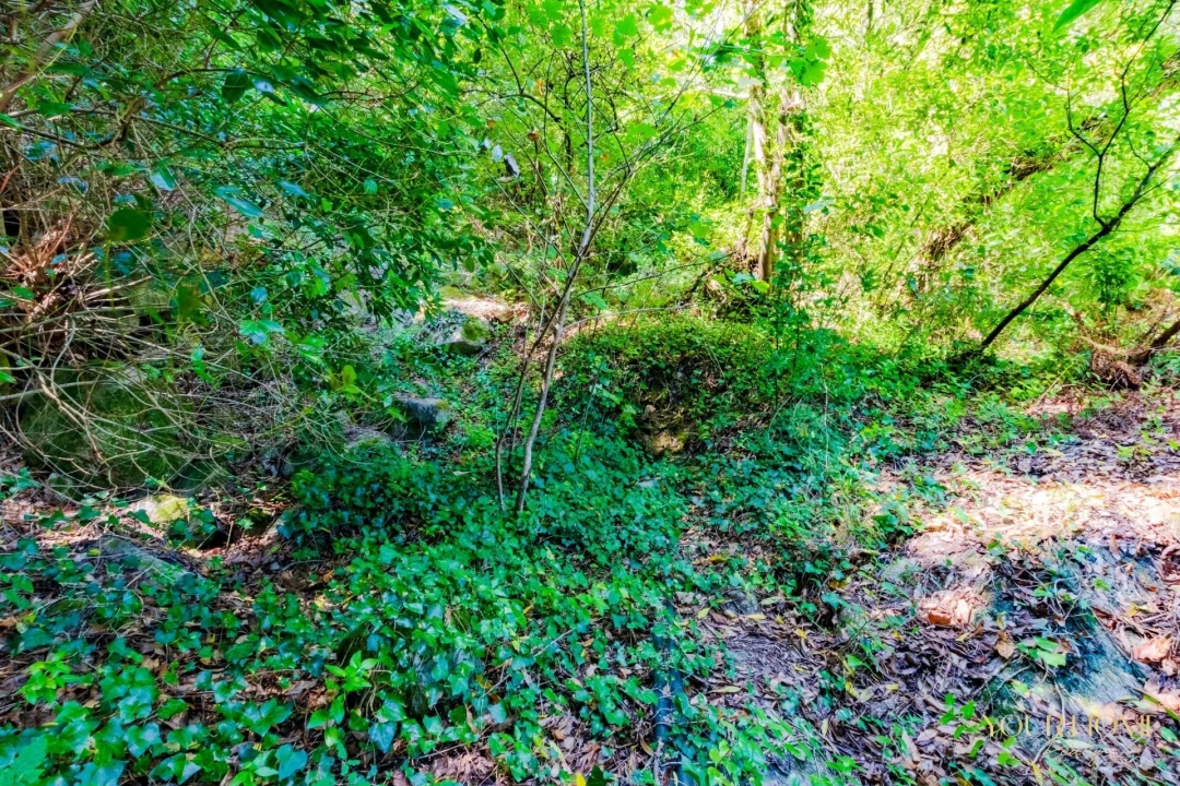 Terreno para Venda em São João das Lampas e Terrugem Foto 8