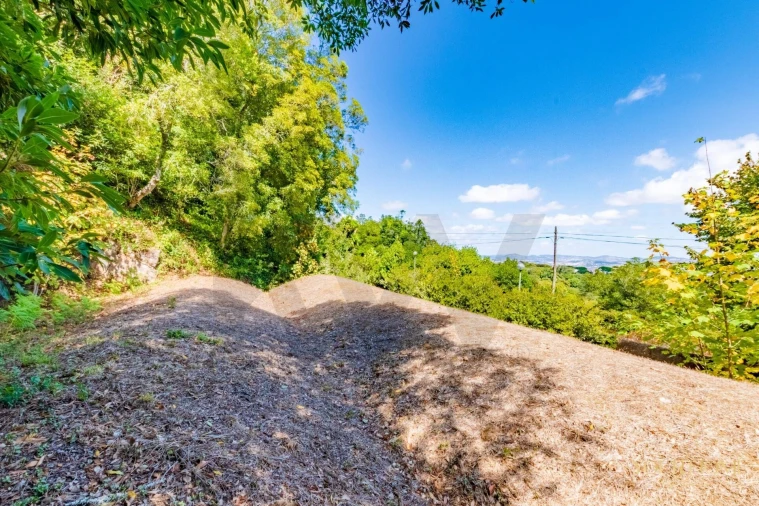 Terreno para Venda em São João das Lampas e Terrugem Foto 18