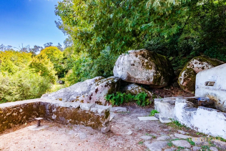 Terreno para Venda em São João das Lampas e Terrugem Foto 24