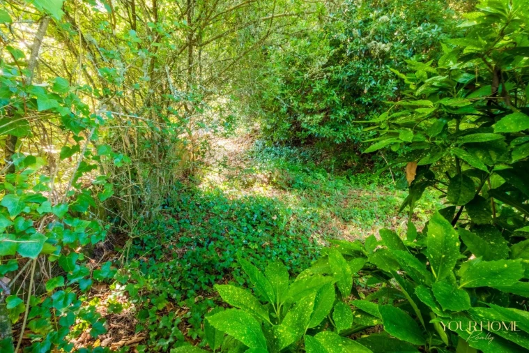 Terreno para Venda em São João das Lampas e Terrugem Foto 7
