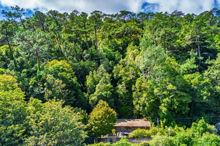 Terreno para Venda em São João das Lampas e Terrugem Foto 35