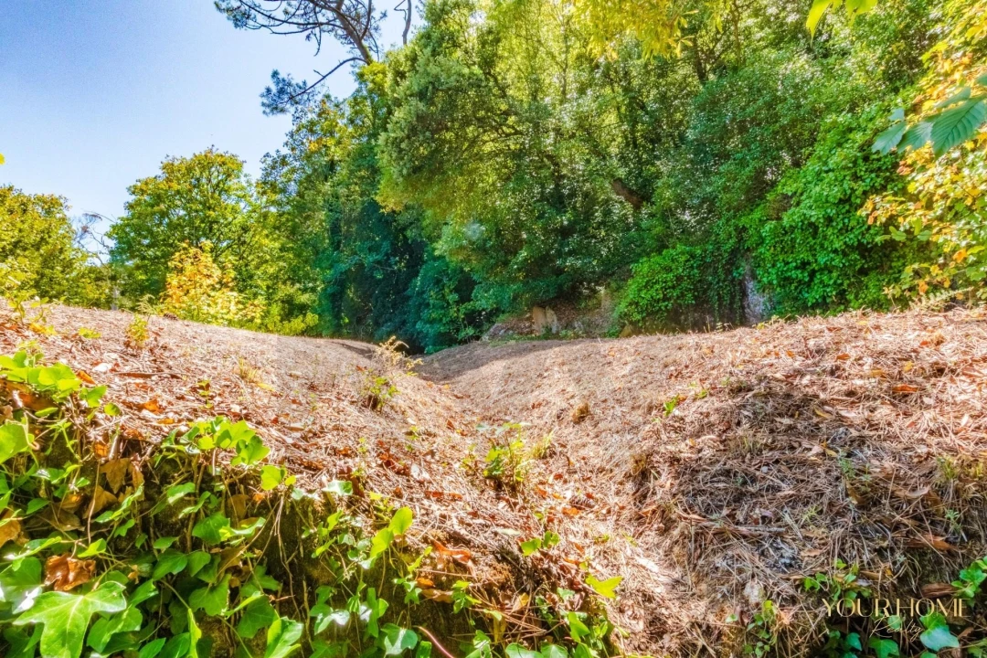 Terreno para Venda em São João das Lampas e Terrugem Foto 11