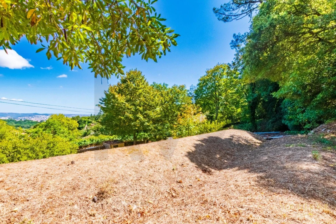 Terreno para Venda em São João das Lampas e Terrugem Foto 15