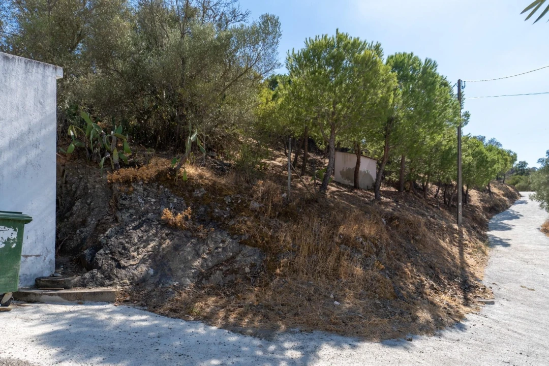 Terreno para Venda em Alcoutim e Pereiro Foto 5