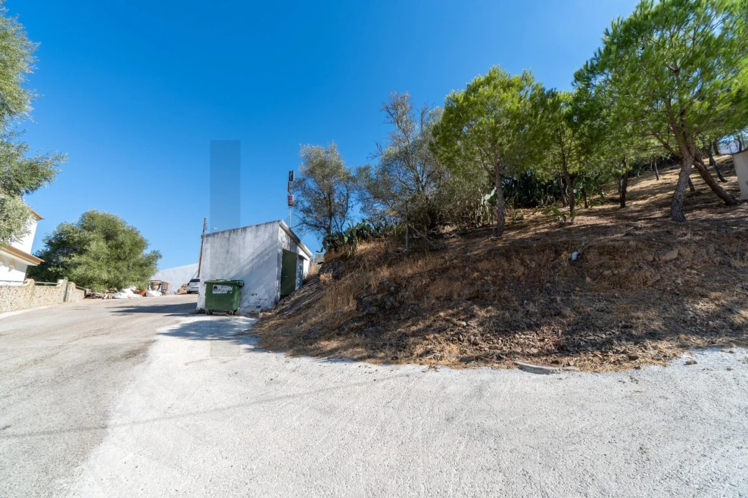 Terreno para Venda em Alcoutim e Pereiro Foto 2