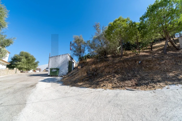 Terreno para Venda em Alcoutim e Pereiro Foto 2