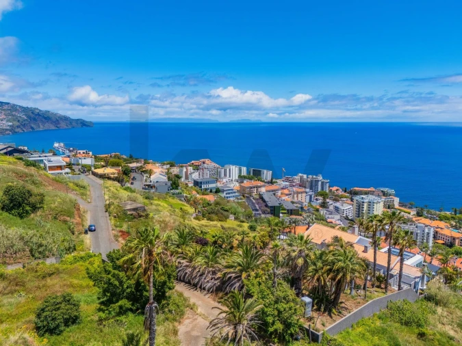 Terreno para Venda em São Martinho Foto 30