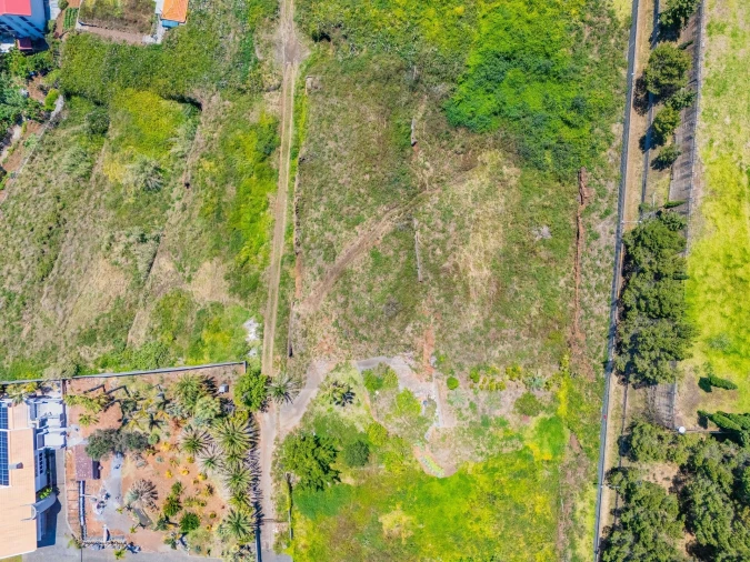 Terreno para Venda em São Martinho Foto 22