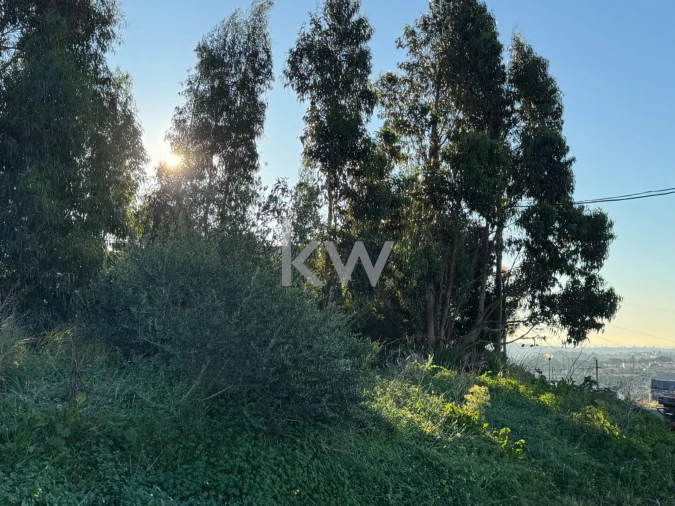 Terreno para Venda em Alcabideche Foto 6