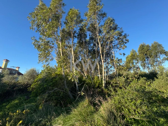 Terreno para Venda em Alcabideche Foto 9