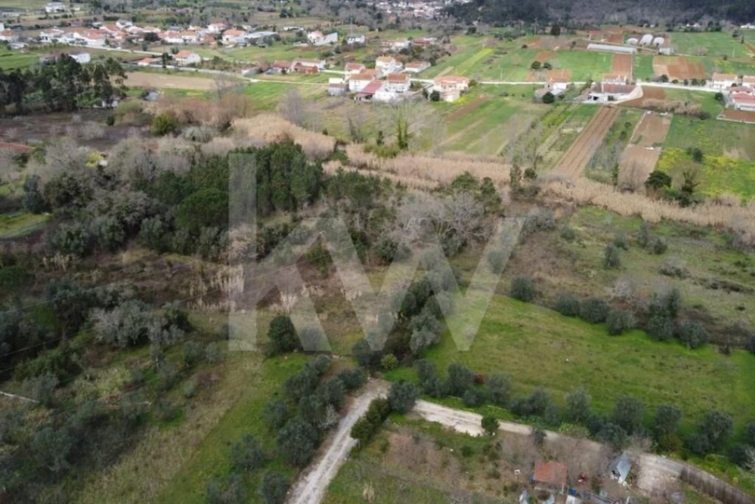 Terreno para Venda em Condeixa-A-Velha e Condeixa-A-Nova Foto 3