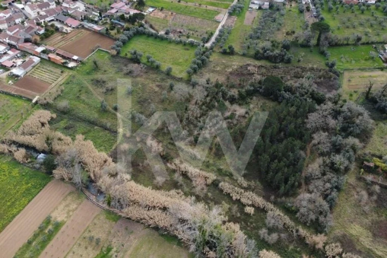 Terreno para Venda em Condeixa-A-Velha e Condeixa-A-Nova Foto 5