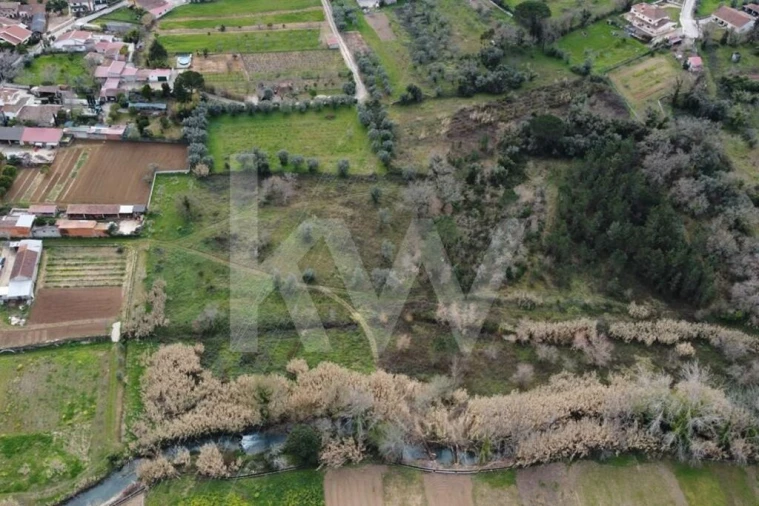 Terreno para Venda em Condeixa-A-Velha e Condeixa-A-Nova Foto 1