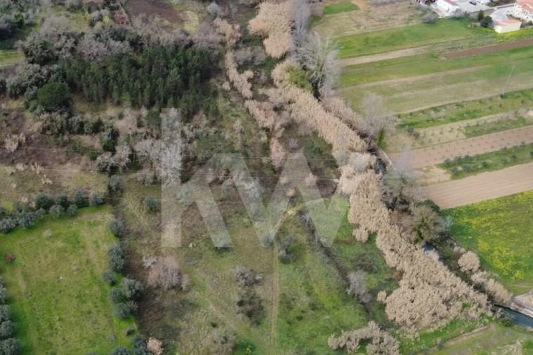Terreno para Venda em Condeixa-A-Velha e Condeixa-A-Nova Foto 8