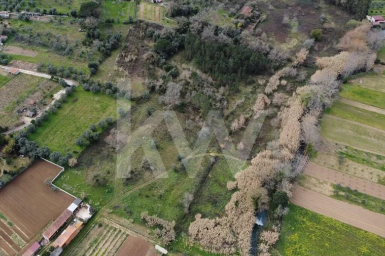 Terreno para Venda em Condeixa-A-Velha e Condeixa-A-Nova Foto 6