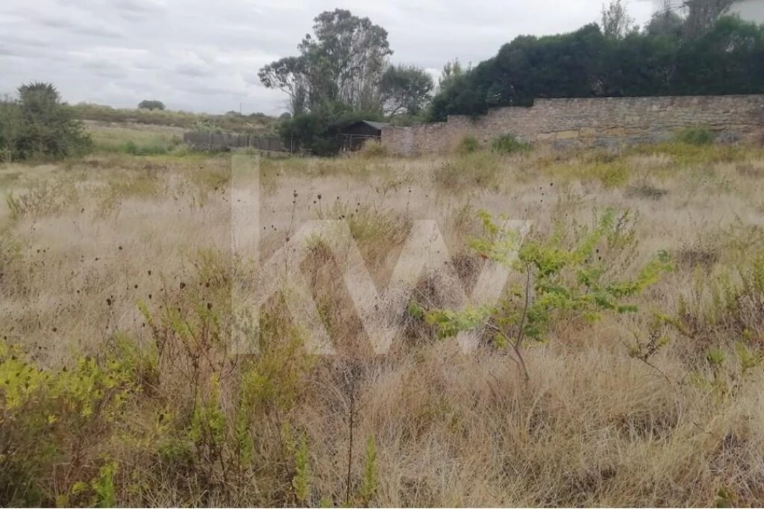 Terreno para Venda em Santa Maria e São Miguel, São Martinho, São Pedro Penaferrim Foto 8