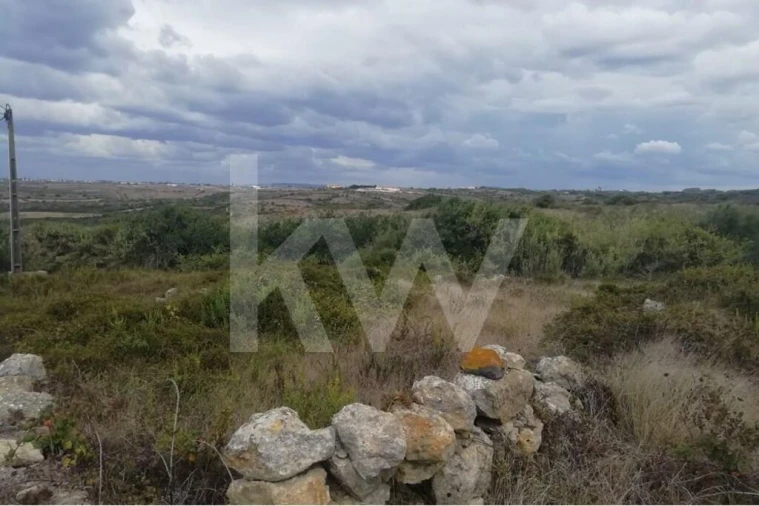 Terreno para Venda em Santa Maria e São Miguel, São Martinho, São Pedro Penaferrim Foto 6