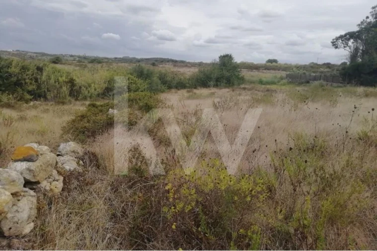 Terreno para Venda em Santa Maria e São Miguel, São Martinho, São Pedro Penaferrim Foto 7