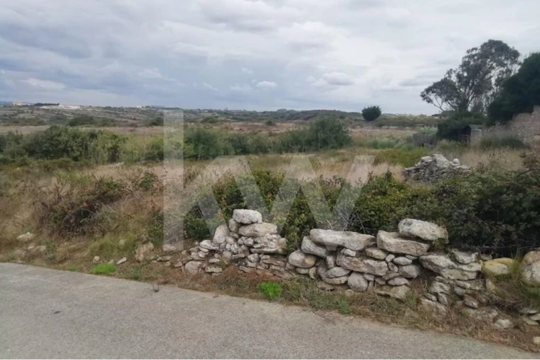 Terreno para Venda em Santa Maria e São Miguel, São Martinho, São Pedro Penaferrim Foto 2