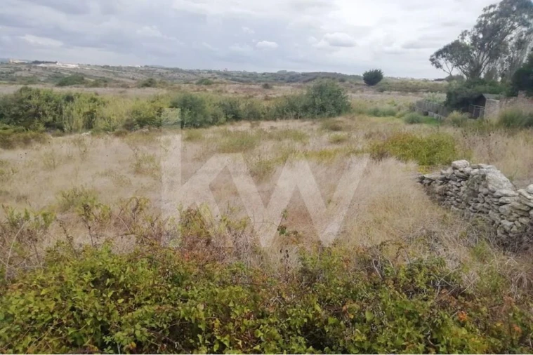 Terreno para Venda em Santa Maria e São Miguel, São Martinho, São Pedro Penaferrim Foto 5