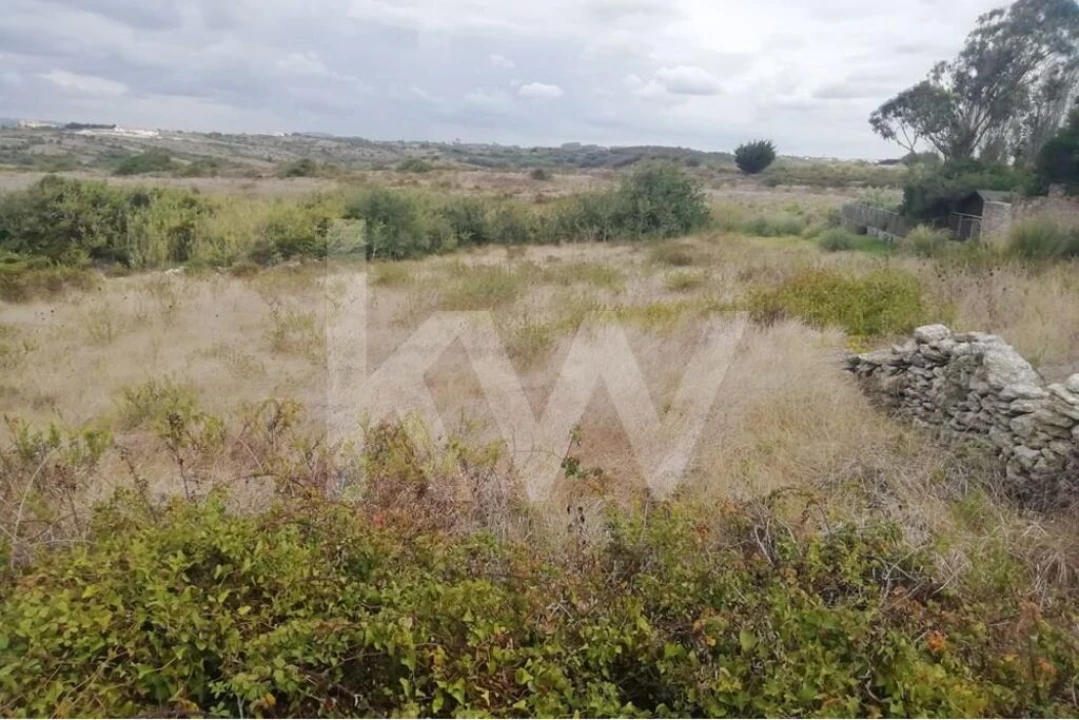 Terreno para Venda em Santa Maria e São Miguel, São Martinho, São Pedro Penaferrim Foto 5