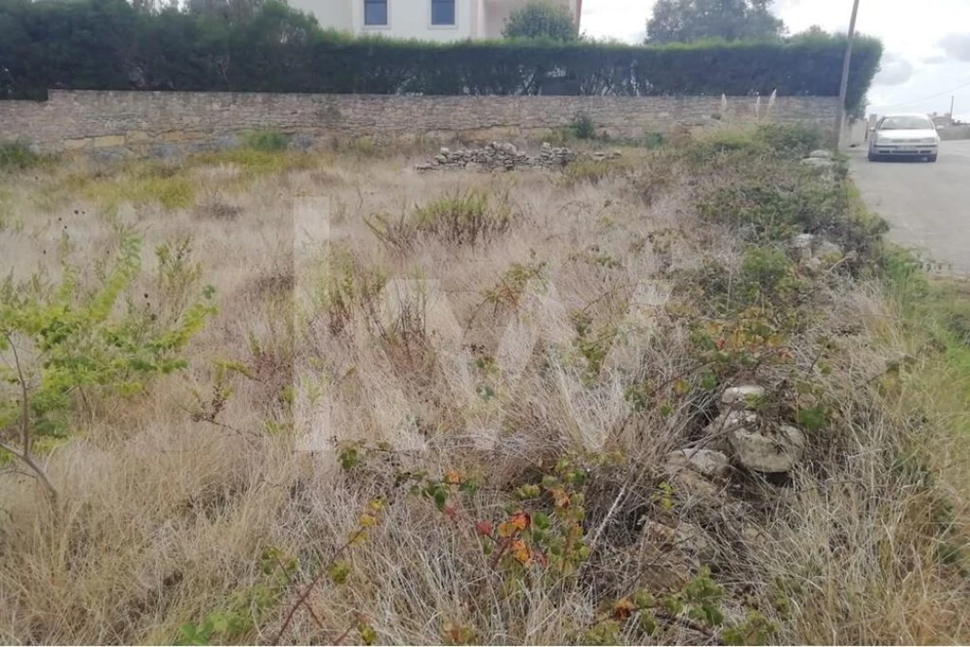 Terreno para Venda em Santa Maria e São Miguel, São Martinho, São Pedro Penaferrim Foto 9