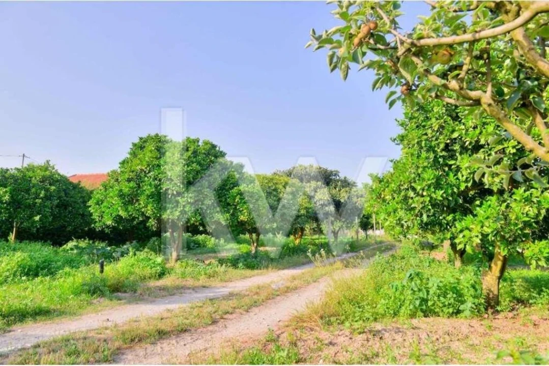 Moradia T6 para Venda em Poceirão e Marateca Foto 41