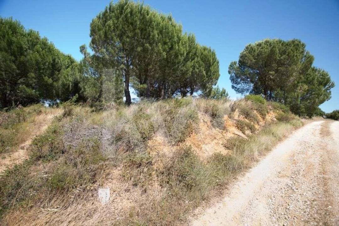 Terreno para Venda em Aveiras de Cima Foto 25