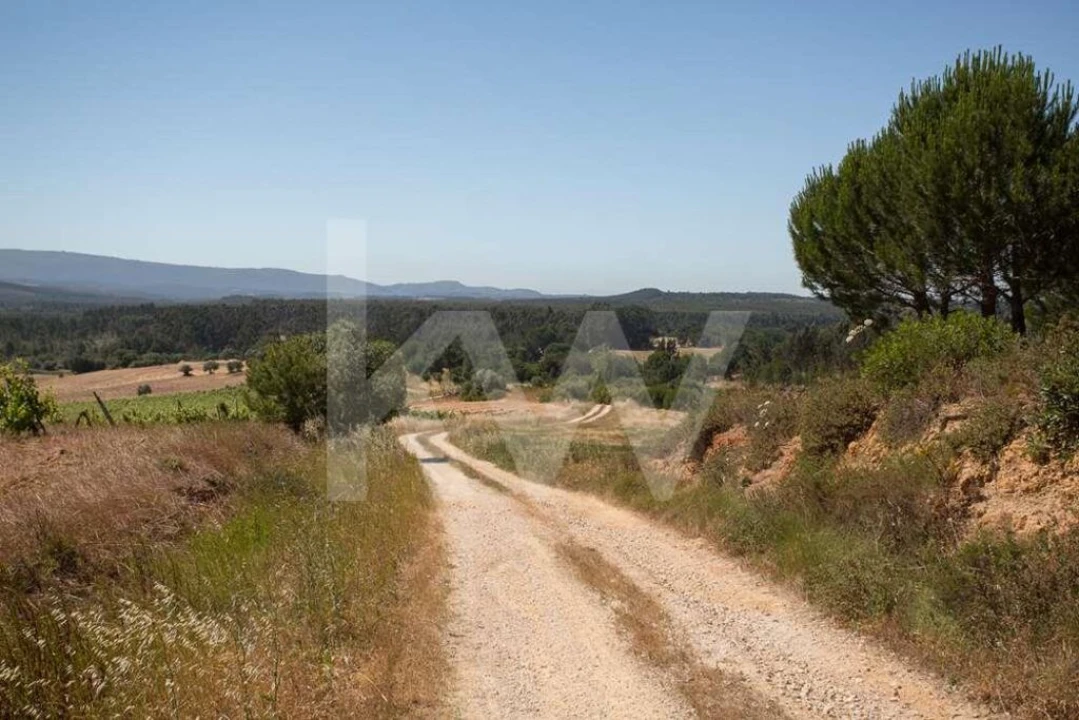 Terreno para Venda em Aveiras de Cima Foto 23