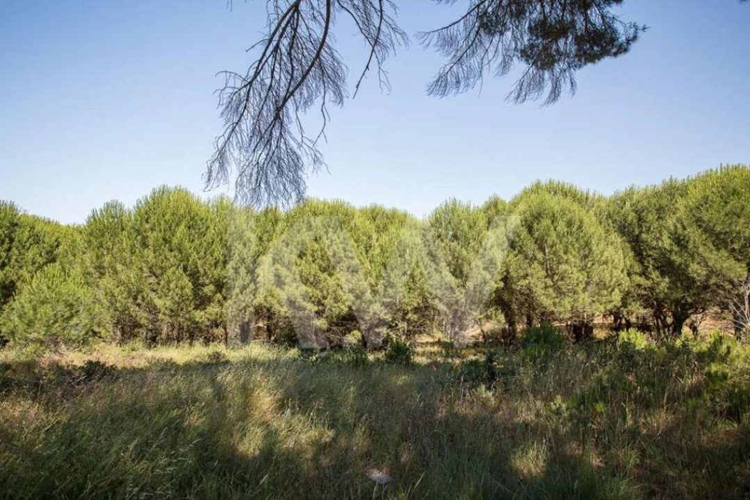 Terreno para Venda em Aveiras de Cima Foto 12