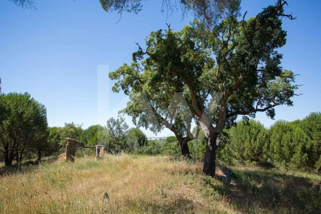Terreno para Venda em Aveiras de Cima Foto 13
