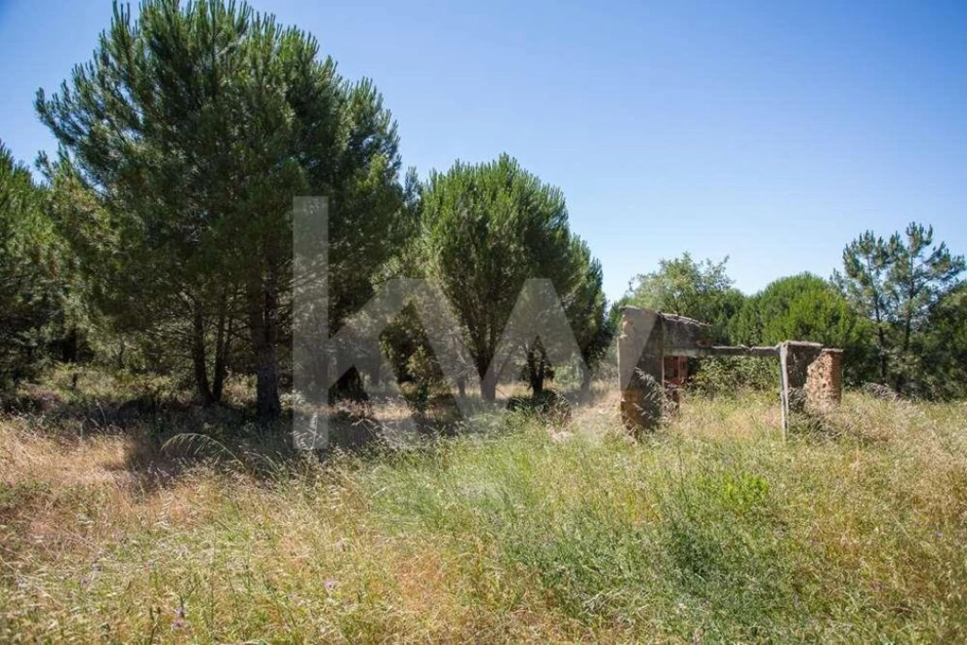 Terreno para Venda em Aveiras de Cima Foto 11