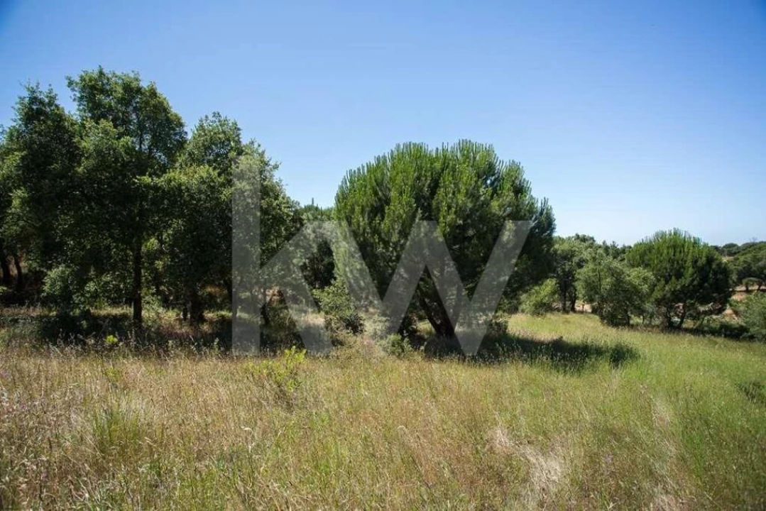 Terreno para Venda em Aveiras de Cima Foto 3