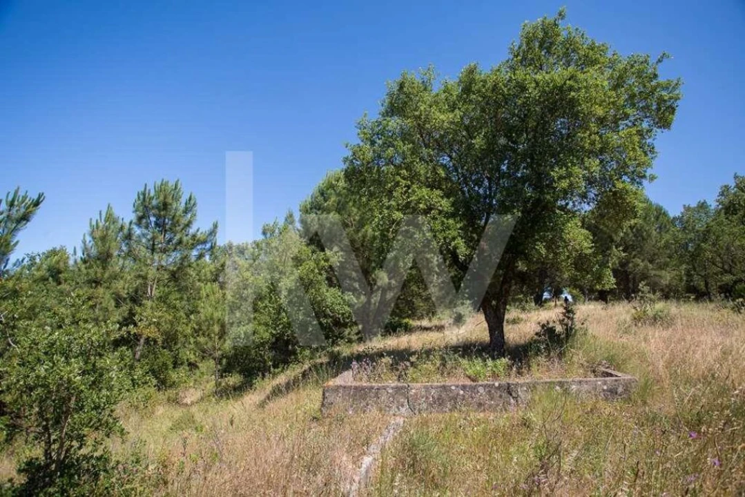 Terreno para Venda em Aveiras de Cima Foto 4