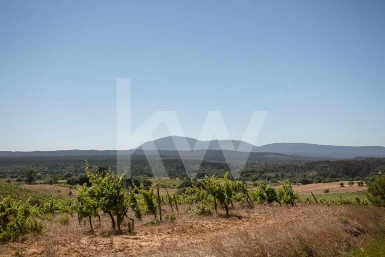 Terreno para Venda em Aveiras de Cima Foto 22
