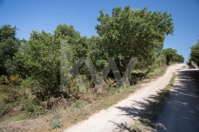 Terreno para Venda em Aveiras de Cima Foto 18