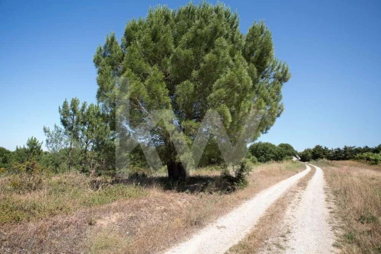Terreno para Venda em Aveiras de Cima Foto 24