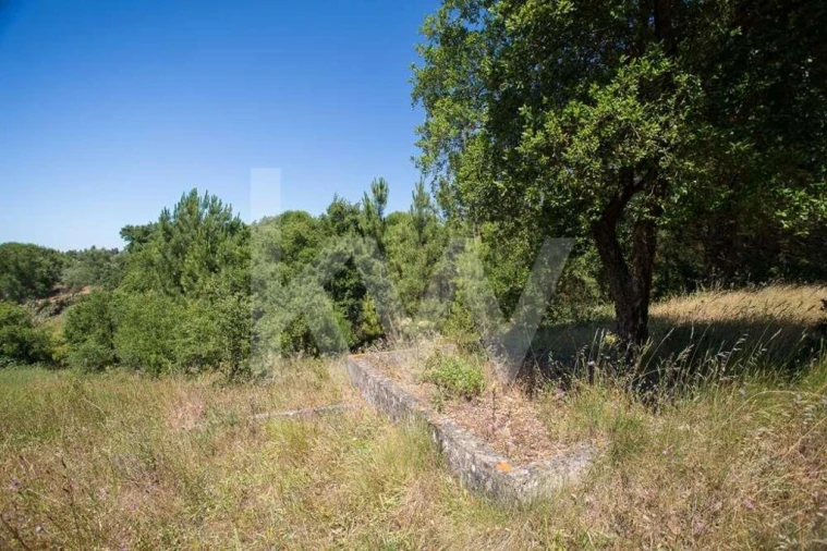 Terreno para Venda em Aveiras de Cima Foto 2