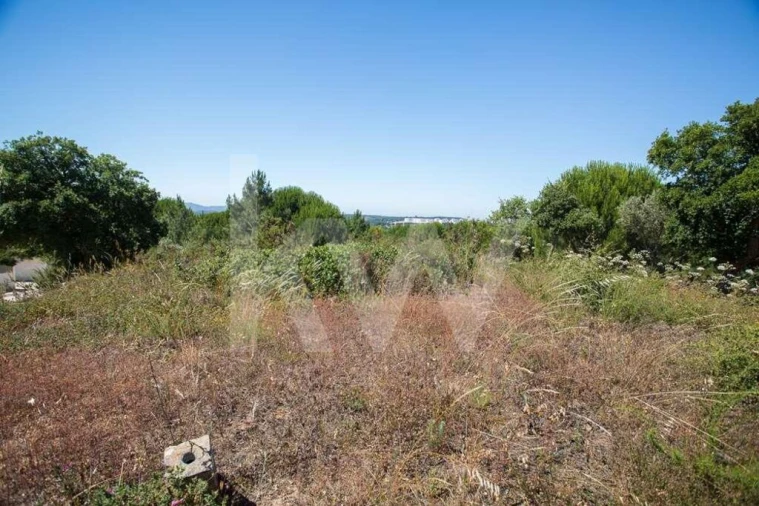 Terreno para Venda em Aveiras de Cima Foto 16